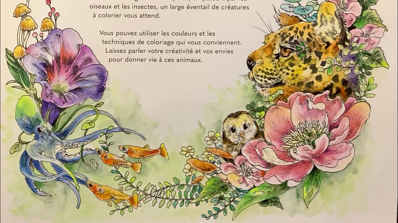 Part 2 Coloring Les Cre’atures de Ken Matsuda