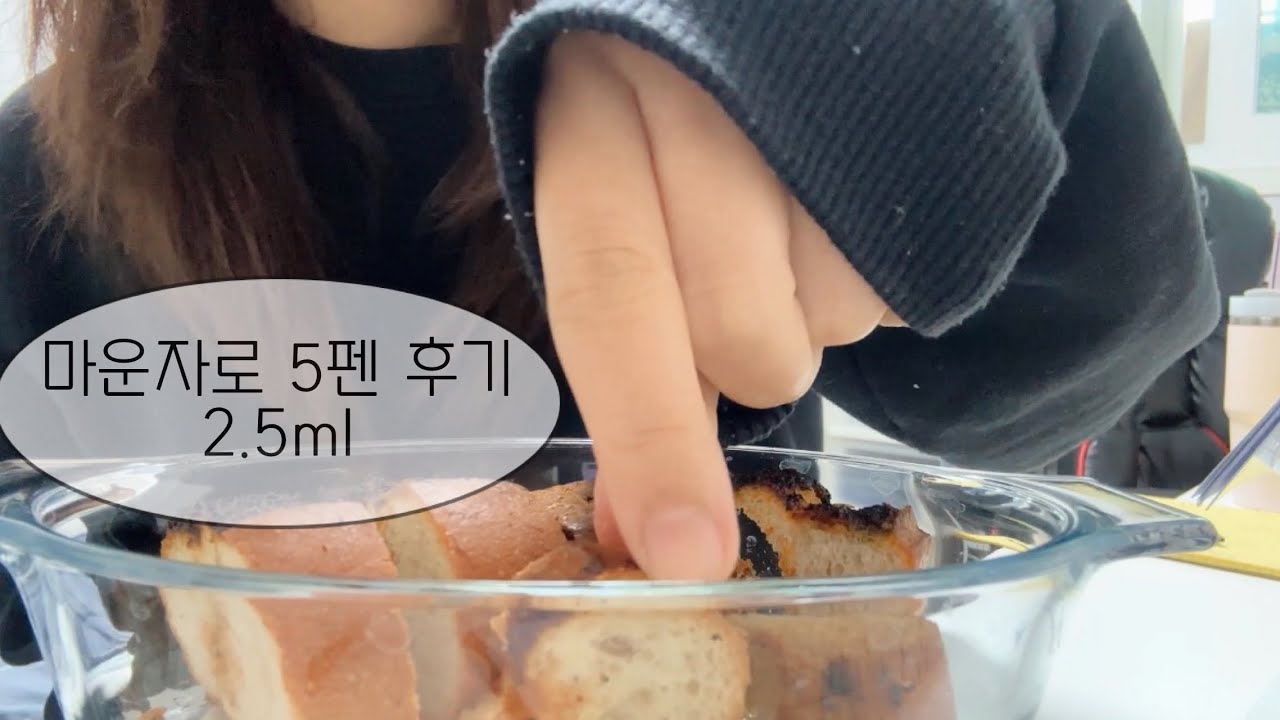 다이어트 브이로그 | 마운자로 2.5ml 5펜 후기! | 해돋이 보기 | 디지털 일기
