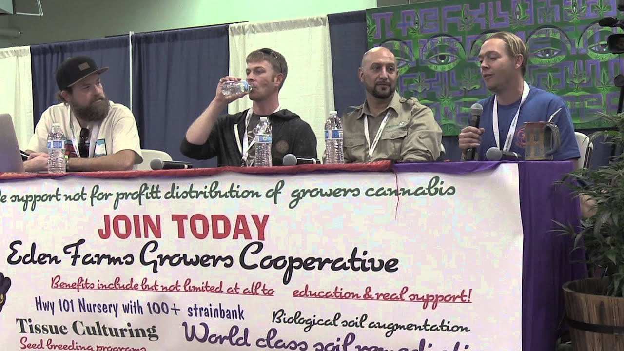 The Emerald Cup: Marijuana Greenhouse Grow and Light Dep Tips