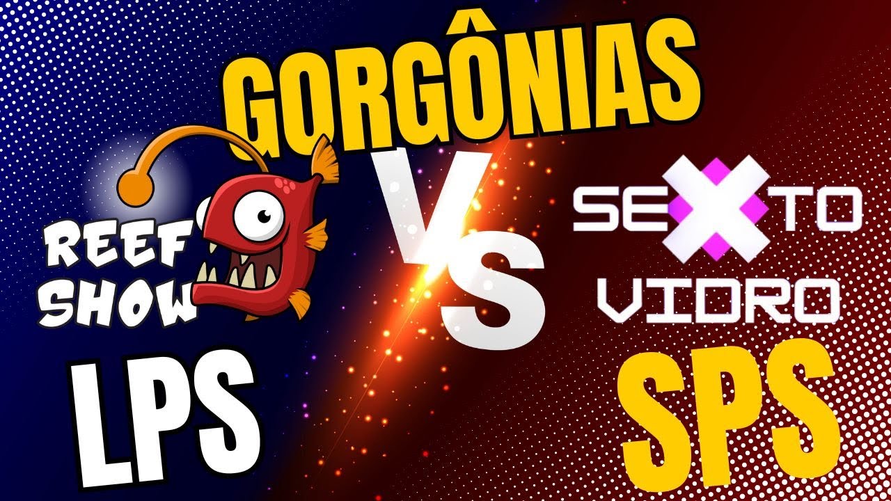 GORGÔNIA: O coral que parece mas não é
