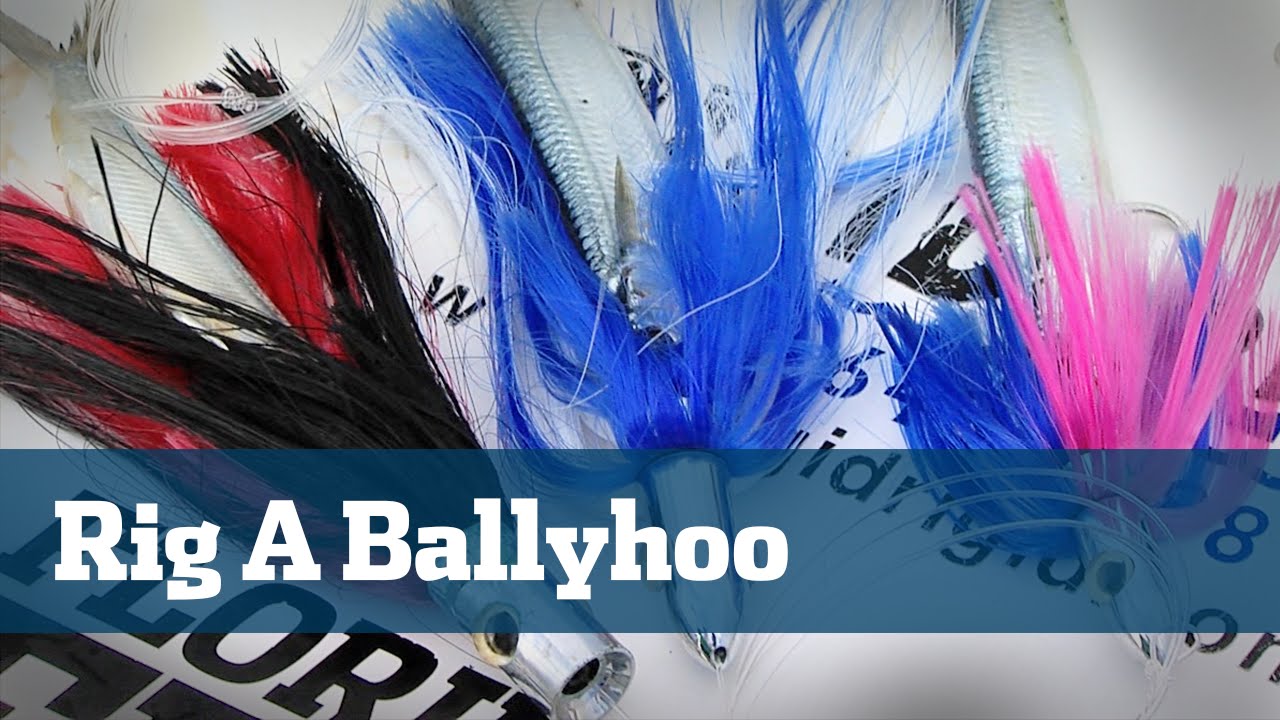 Как оснастить Ballyhoo — Florida Sport Fishing TV — ловите больше парусников и дельфинов на свежу...