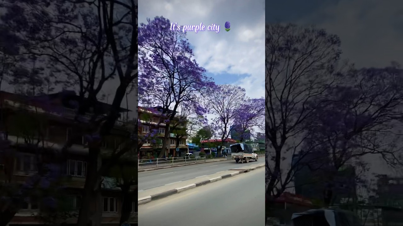 The KTM City ❤️
