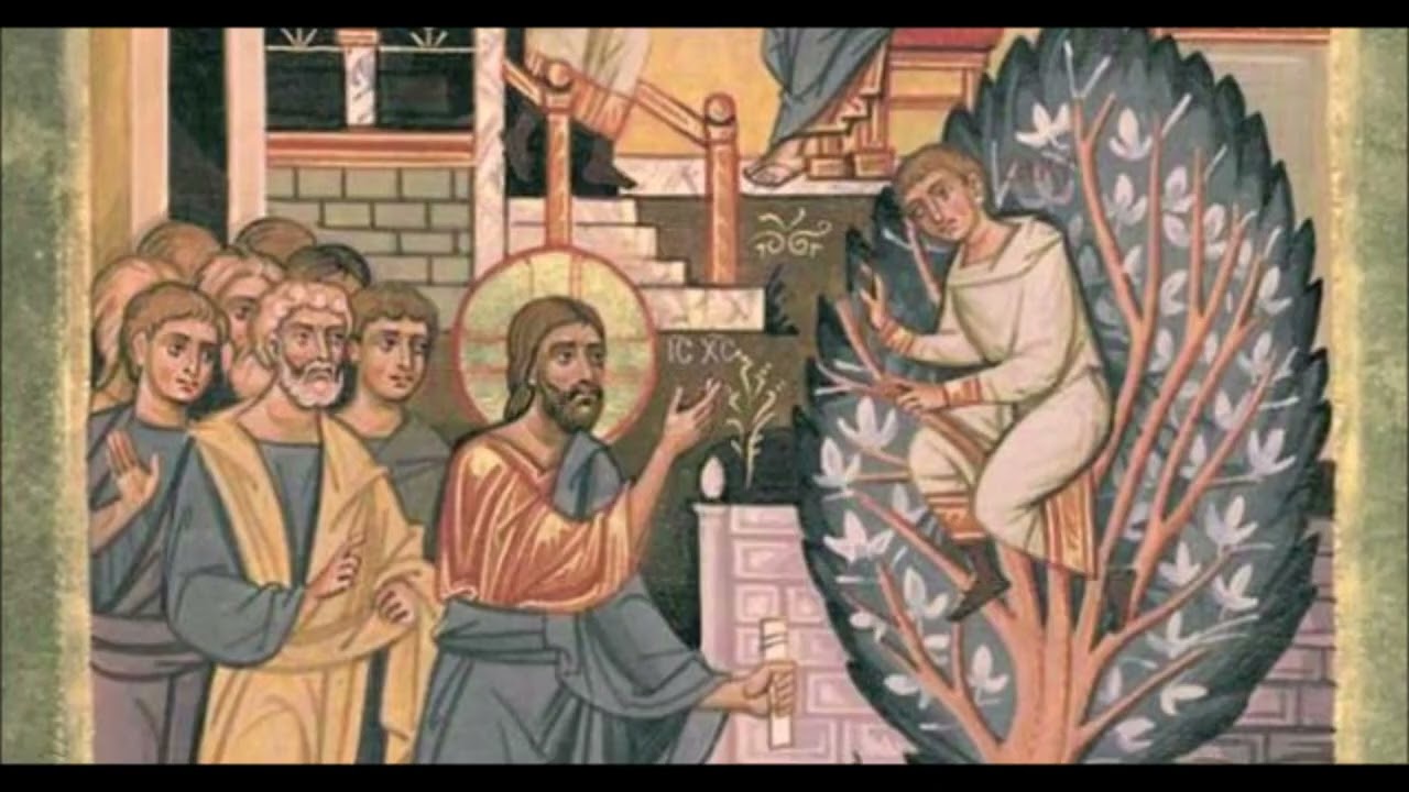 Catechesi sugli Incontri 9   Zaccheo