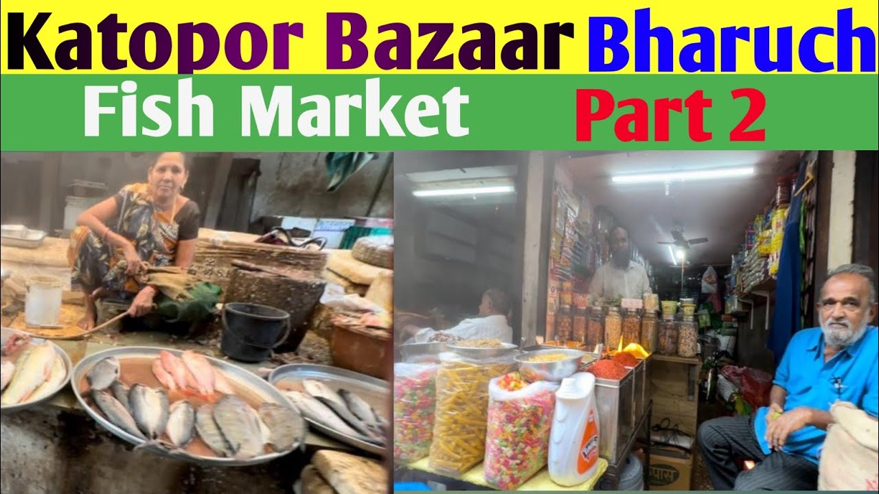Machhi Market Bharuch | Katopor Bazar Part 2 | India #5