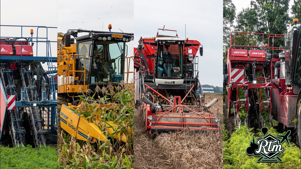 Dutch Flevopolder Carrots Potatoes Corn Harvest 2021 Europe 🌽🥕🥔