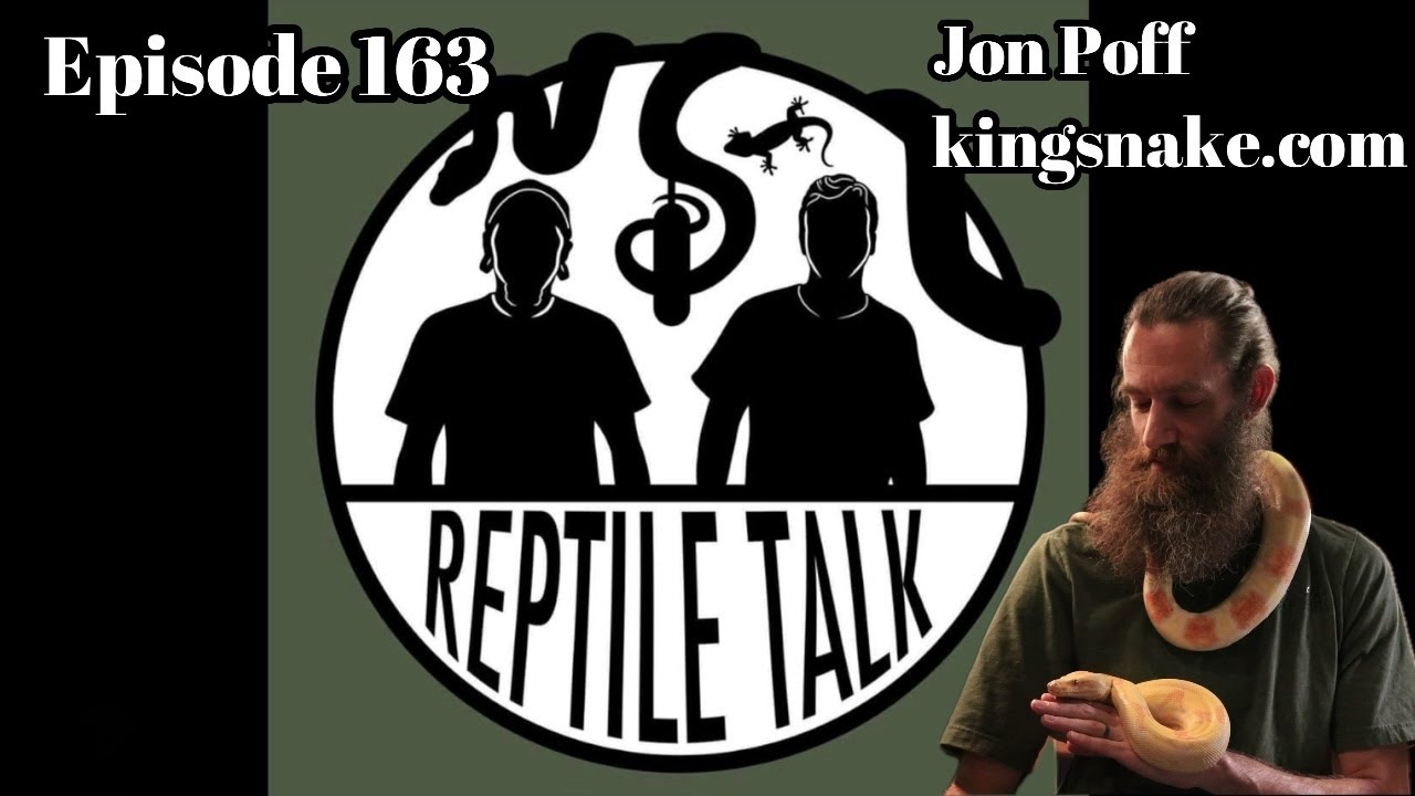 Episode 163 - Jon Poff (Kingsnake.com)