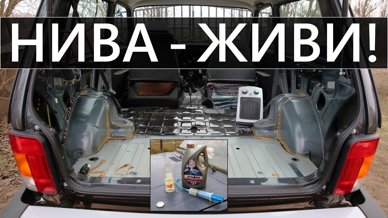 Чтобы НИВА не ГНИЛА, МАСЛО в ДЫРЫ лей ВСЕГДА!
