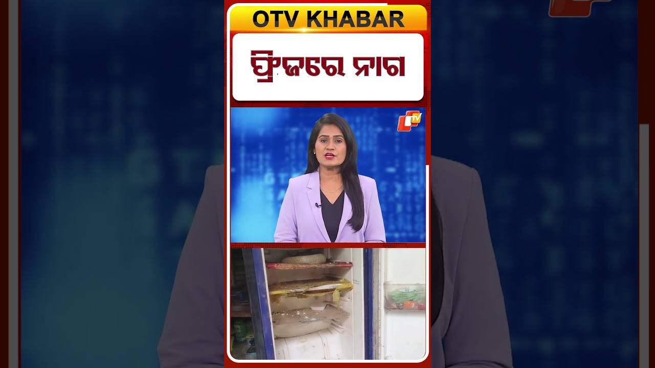 ଫ୍ରିଜରେ ନାଗ #jajpur #odishaflood #snakecobra  #otv #otvshorts