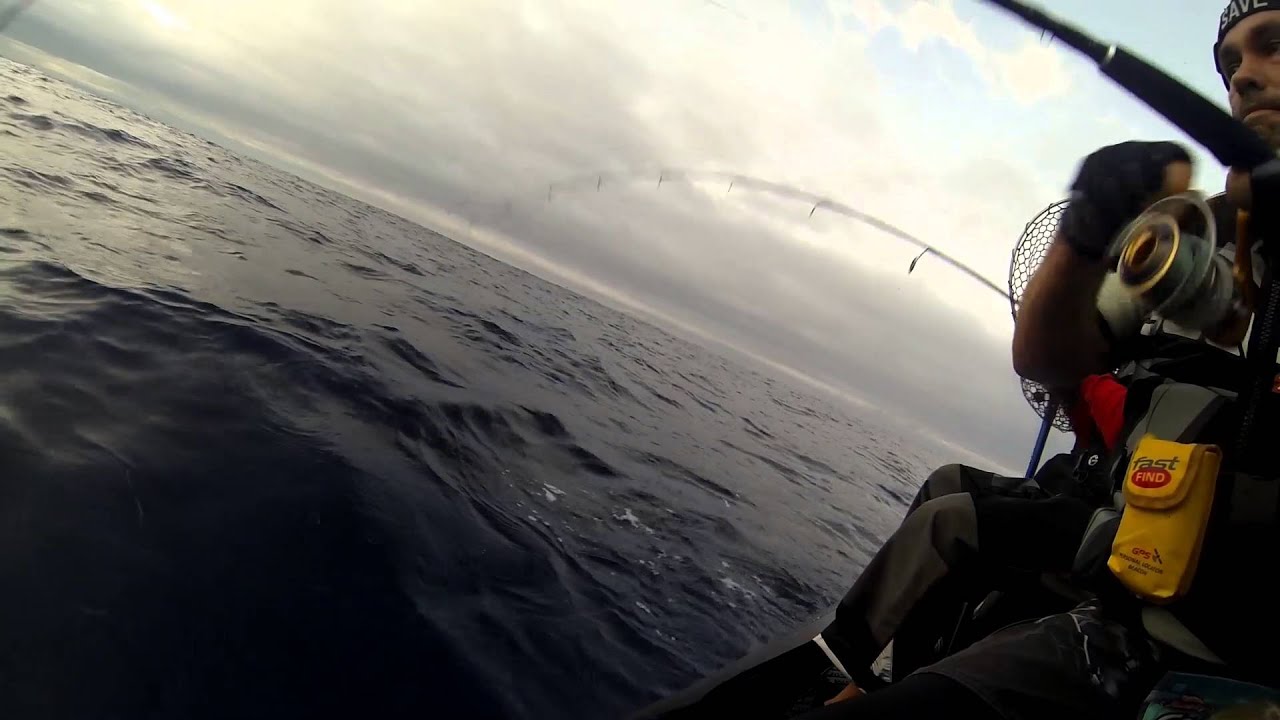 Gulp Salmon Grub strikes again!