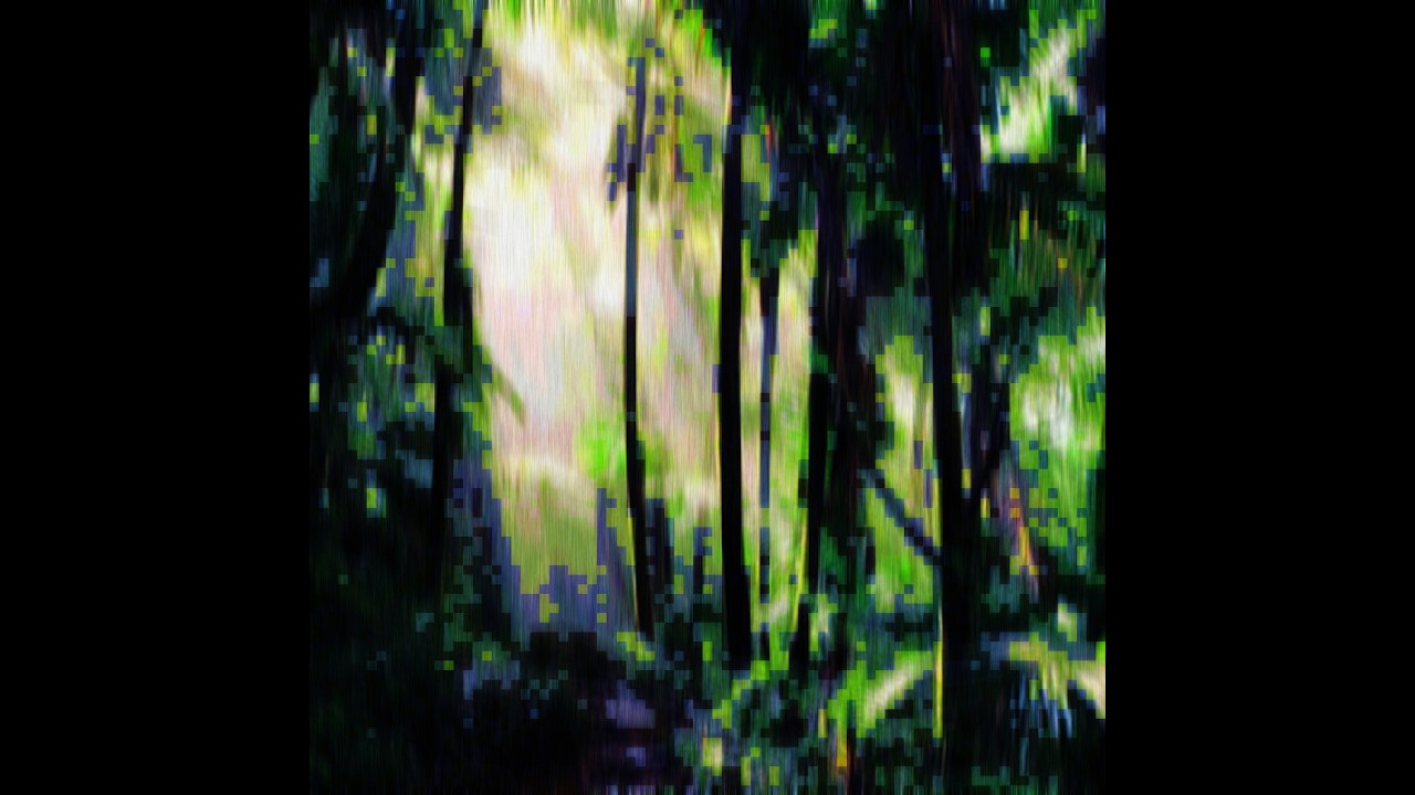 STeG - Tribal Groove