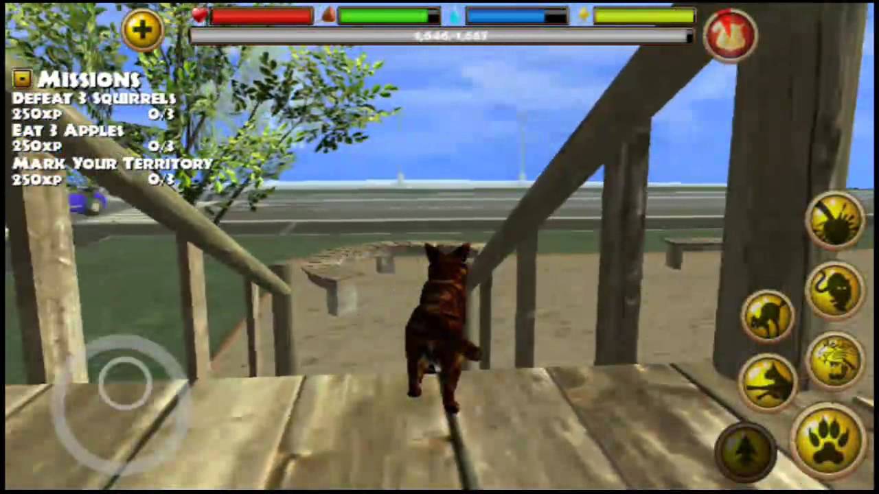 Stray Cat Simulator By Gluten Free Games - Android & iOS - Gameplay