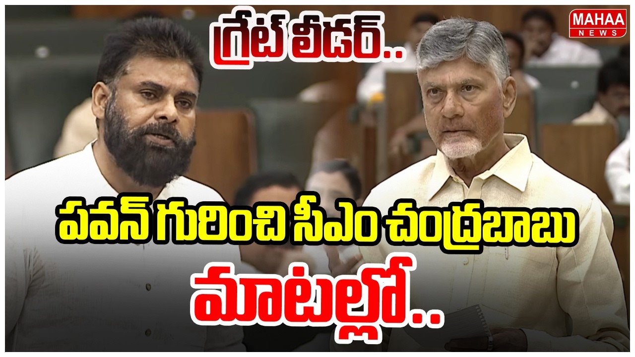 పవన్ గురించి సీఎం చంద్రబాబు మాటల్లో.. | CM Chandrababu Speech About Deputy CM Pawan