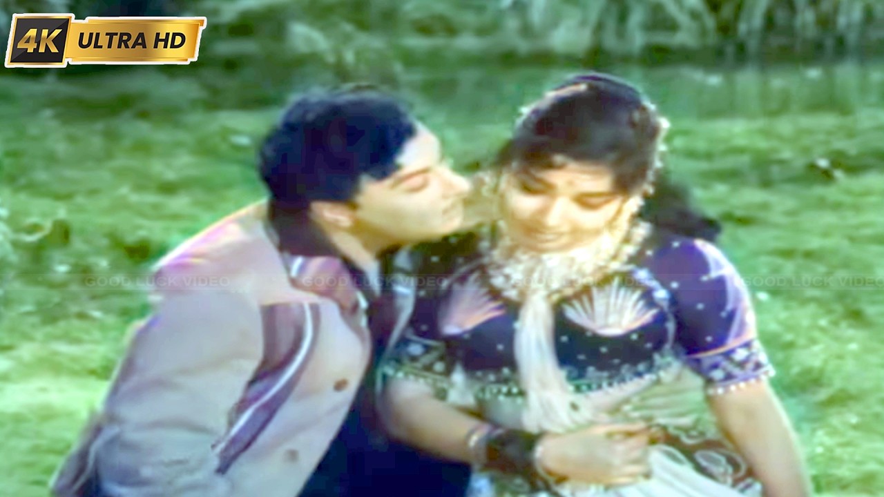 சின்னவளை முகம் சிவந்தவளை பாடல் | Chinnavalai Mugam Song | Tms & P. Susheela | Puthiya Bhoomi .
