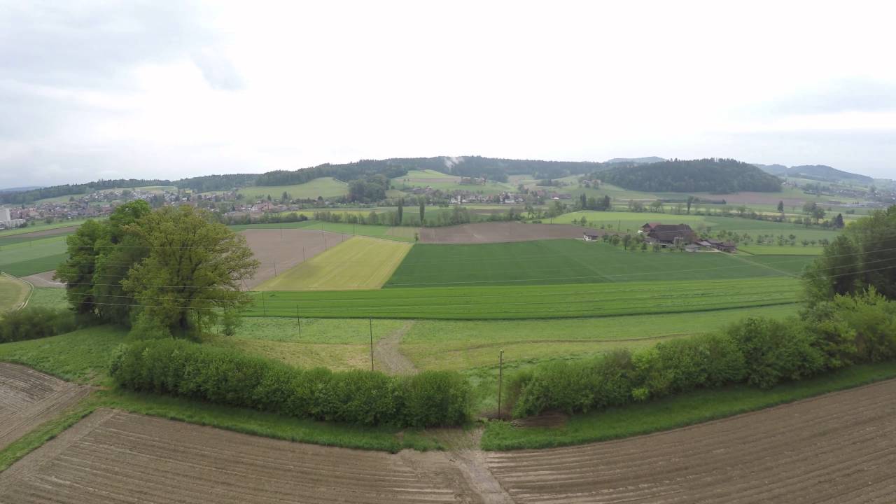 Kartoffeln im Dauerregen
