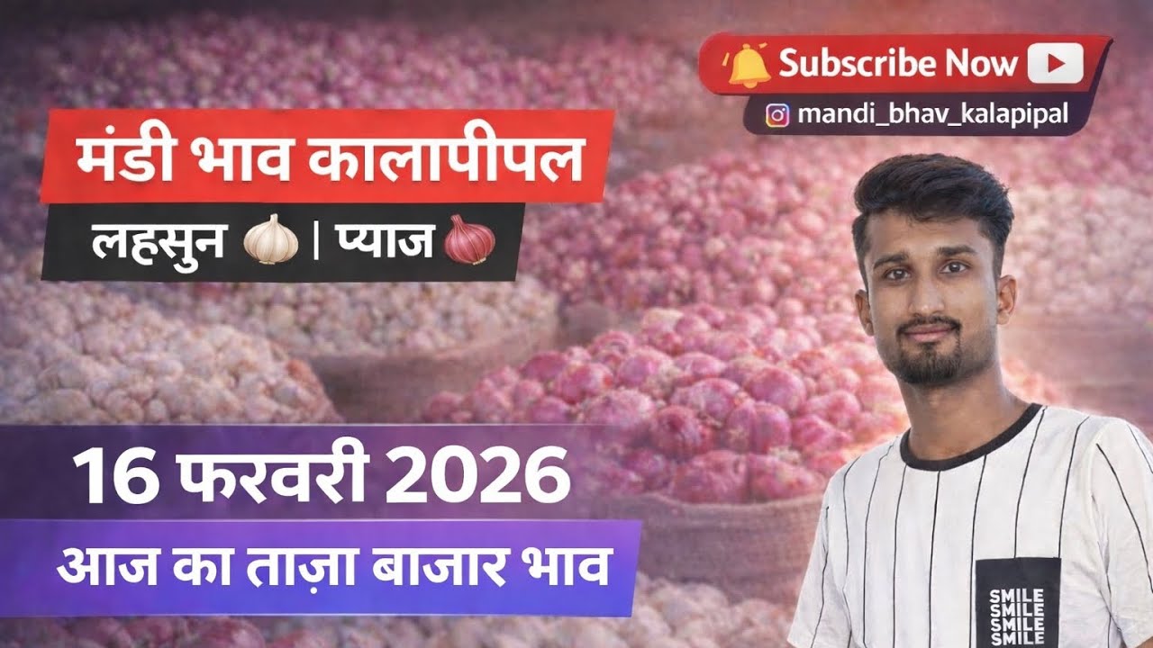 ||16 फ़रवरी 2026||. को कालापीपल मंडी में कैसा रहा लहसुन और प्याज का बाज़ार देखिए वीडियो 