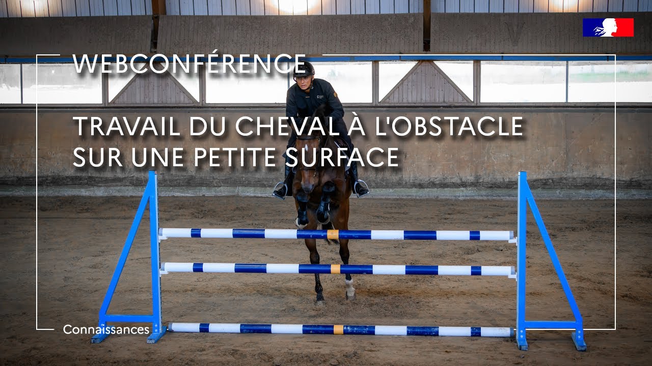 Travail du cheval à l’obstacle sur une petite surface - François Fontaine