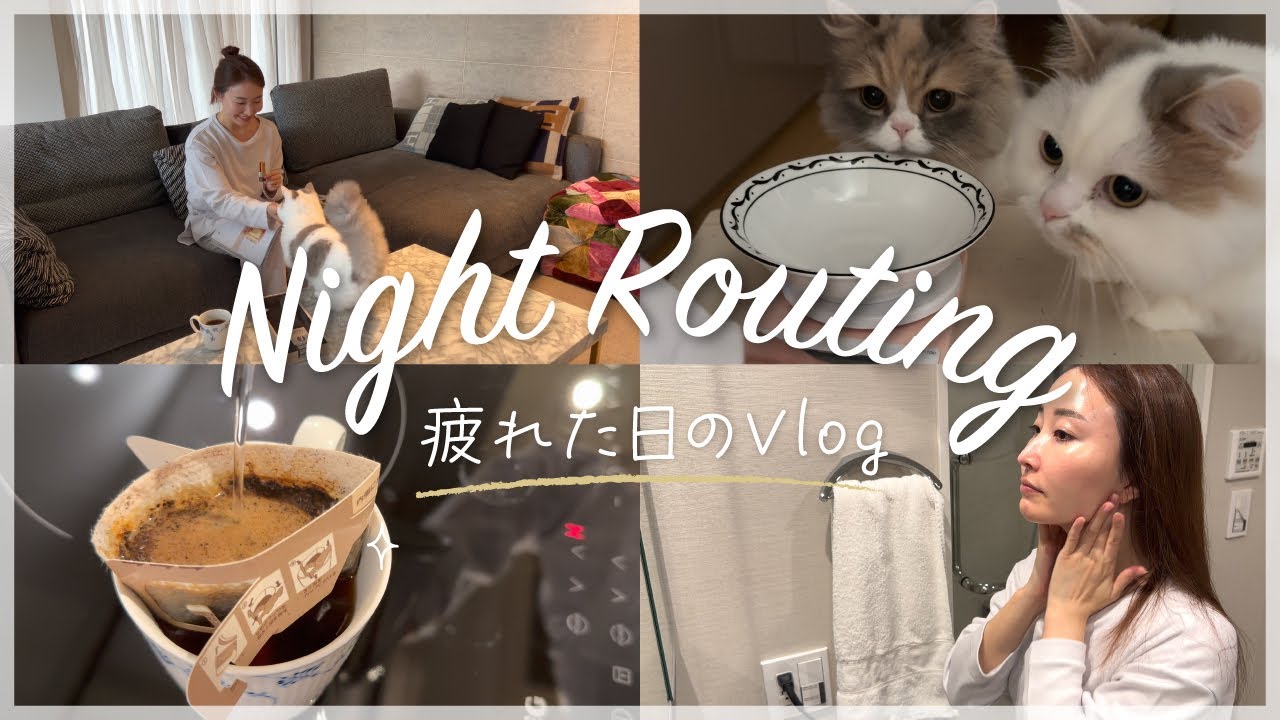 【Vlog】銀座ママの疲れた日にお家でゆっくりするナイトルーティン【スキンケア】