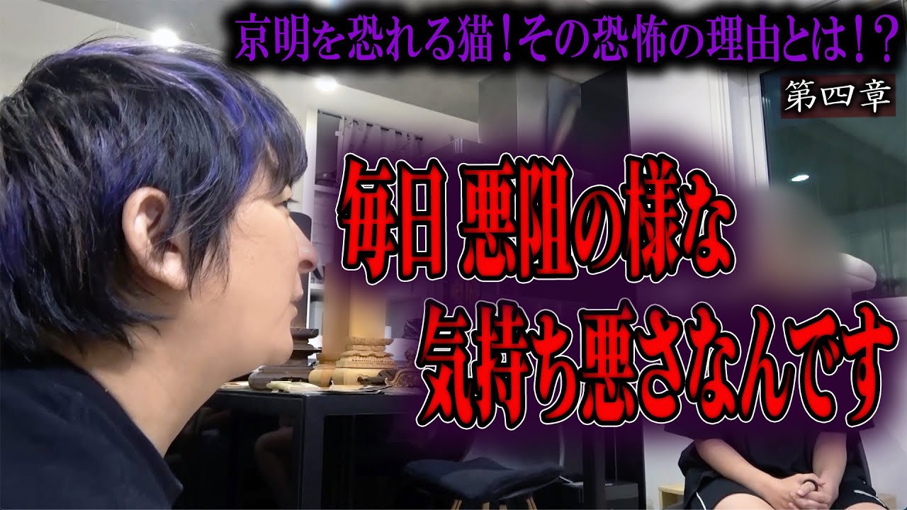 【心霊】京明を恐れる猫！その恐怖の理由とは！？ 〜第四章〜 毎日悪阻の様な気持ち悪さなんです【橋本京明】【閲覧注意】