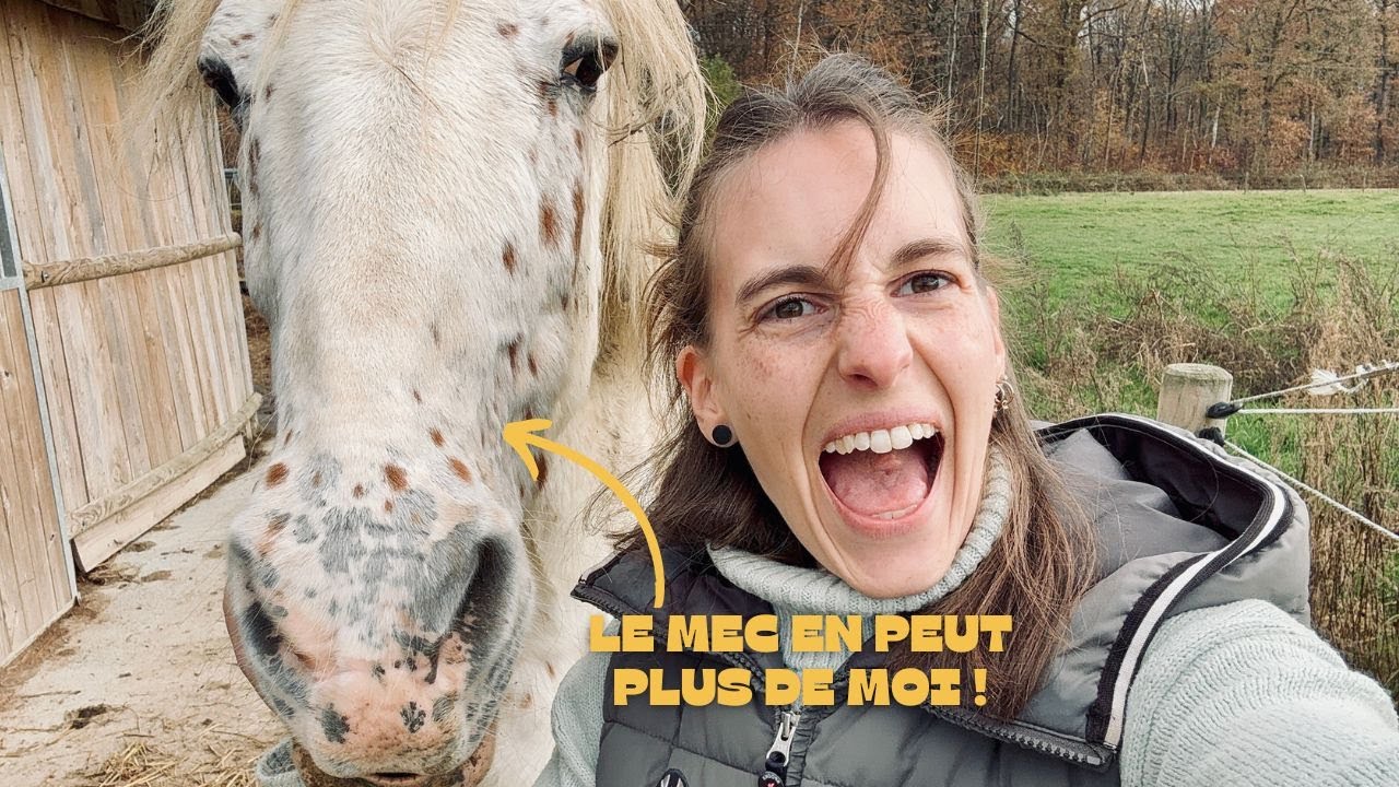4 CHEVAUX EN UNE JOURNÉE ! 😱 - ma définition du bonheur finalement