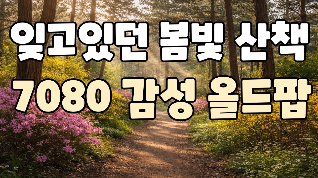 Playlist 🎵 7080 추억의 카페팝 #10 | 바다를 바라보며 틀어두기 좋은 따뜻한 인디 발라드 | 휴식 · 집중 · 독서 · 커피