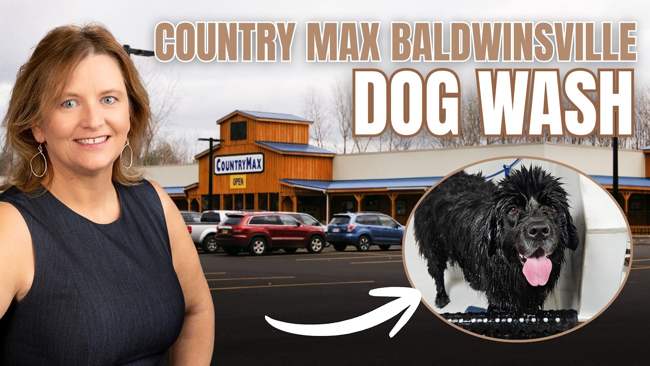 Is the $10 Scrub House Worth It? Washing My Newfoundland at CountryMax