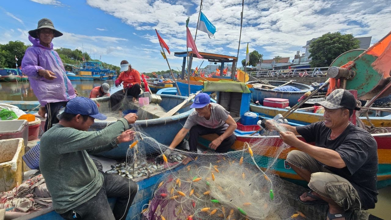 Giật mình với cá nục tươi óng ánh, óc nhảy 50k nhộn nhịp chợ cá Thanh Hải sầm uất ở Phan Thiết