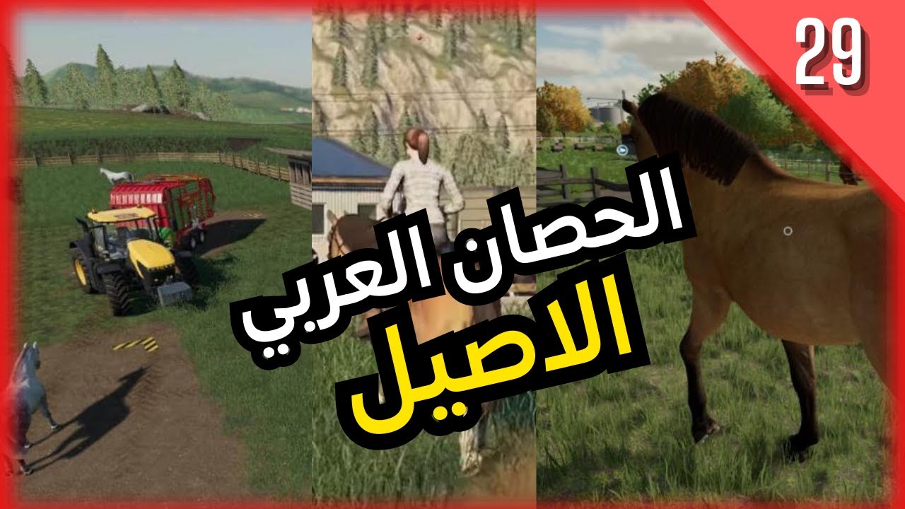 تربية الخيول و تمريتها و بيعها  #farmingsimulator22 ------ سلسة محاكي الزراعة #29