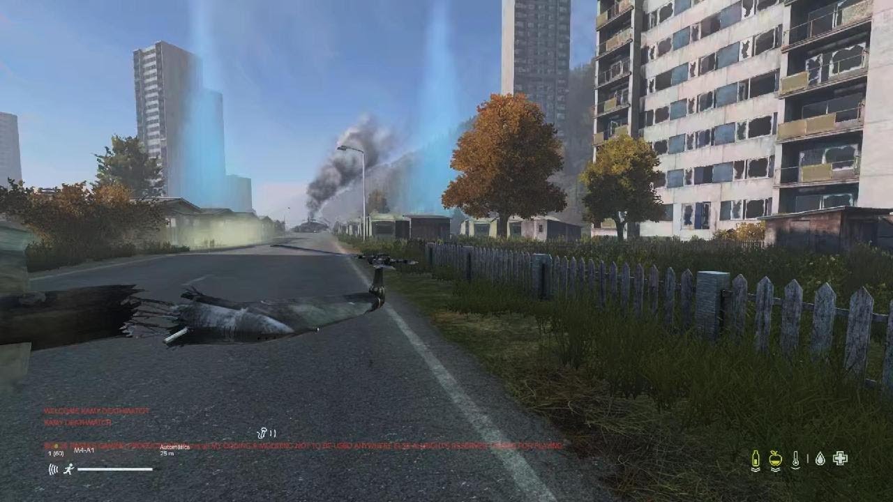 DayZ_20260128181838