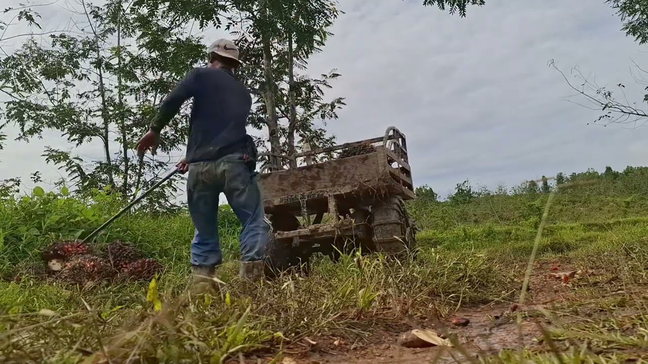 Roda tiga rakitan trabas bukit dan jalan berlumpur