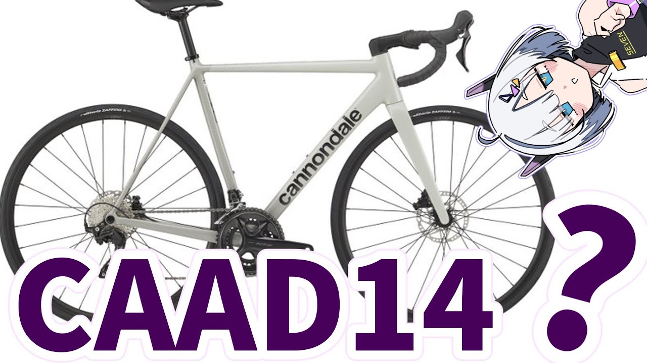 CAAD14のリークについて語りたい！