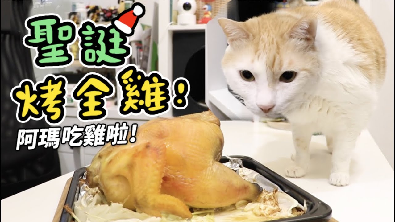 【黃阿瑪的後宮生活】聖誕烤全雞！阿瑪吃雞啦！