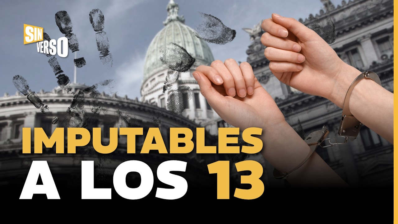 BAJA DE LA EDAD DE IMPUTABILIDAD: Los detalles del proyecto que llega al Congreso