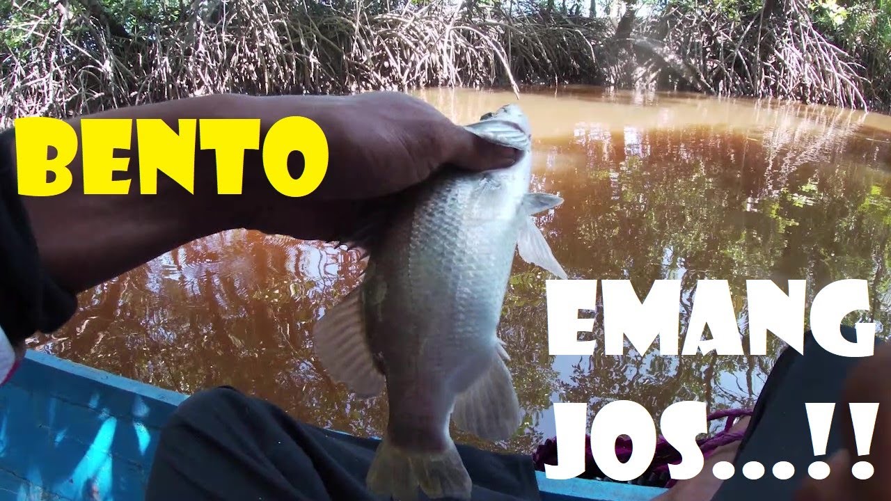 mencari spot ikan dengan teknik BENTO sangatlah gampang