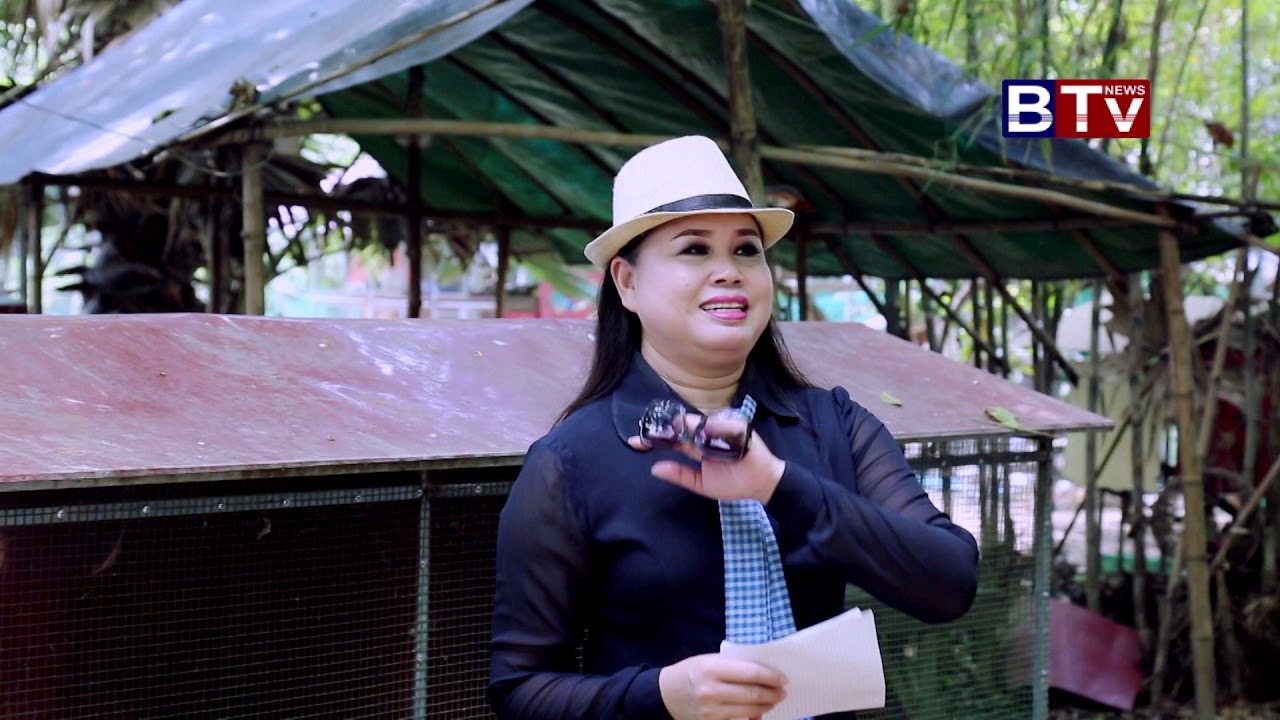 Cambodia Feed The Chicken Farm Part5