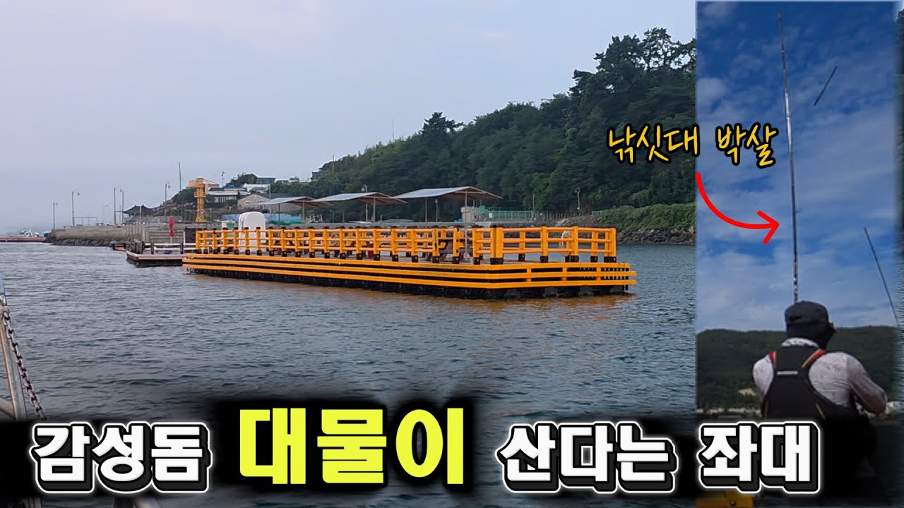 감성돔 대물이 계속 터져 나간다는 곳으로 갔는데... (낚시대 반토막 주의)