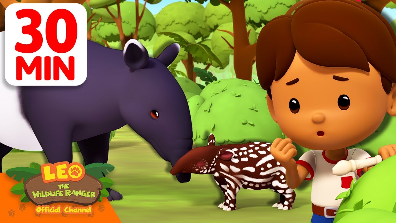 Saving Malayan Tapirs from Predators in the Forest! 🫡 | 30 Min | Leo the Wildlife Ranger | #animals