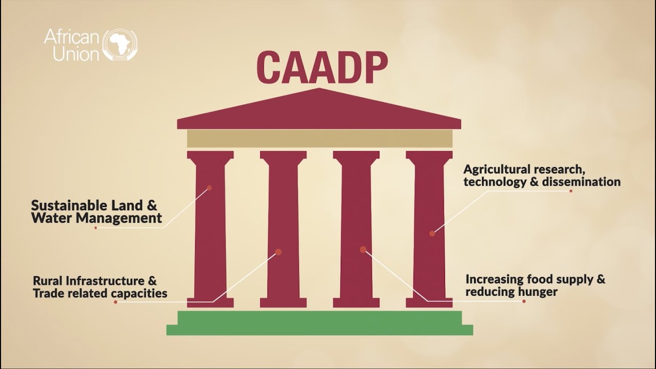 CAADP English Video