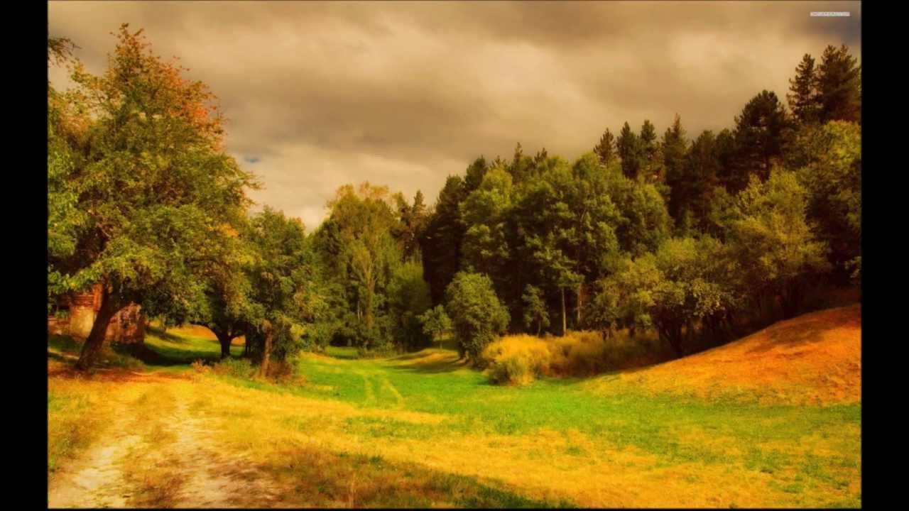 Will Holland pres Holla - Melodica (RainSonata Intro Mix)
