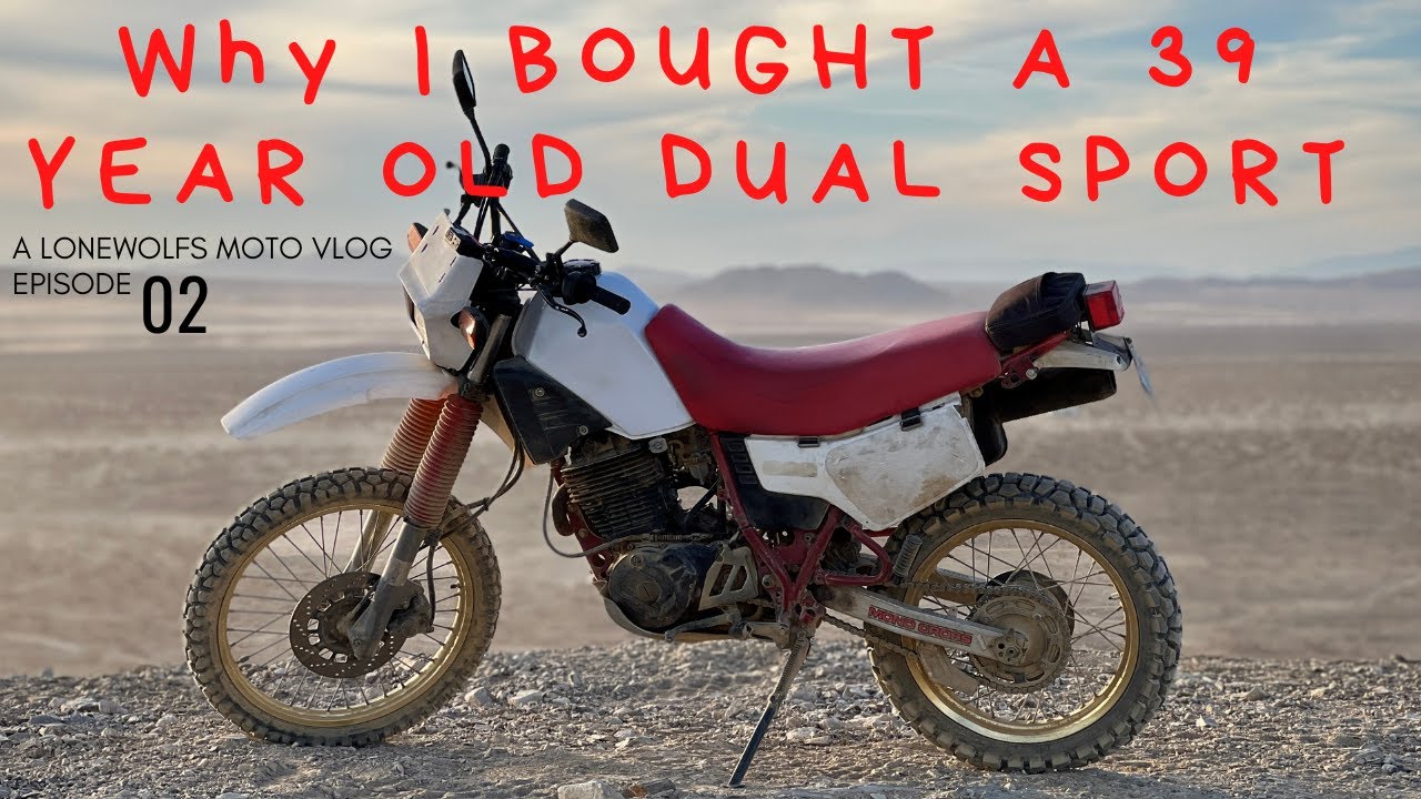 I Bought A 39 Year Old Dual Sport // 1984 Yamaha XT600