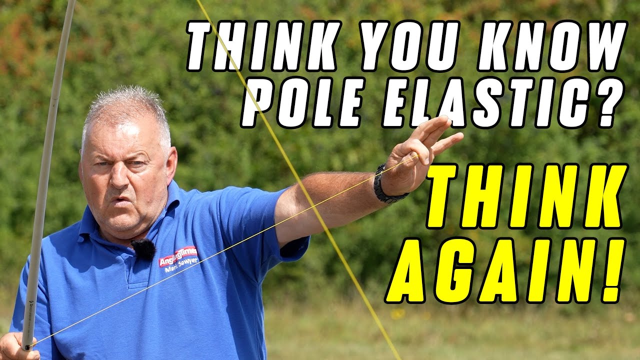 This Elastic Is A Game Changer