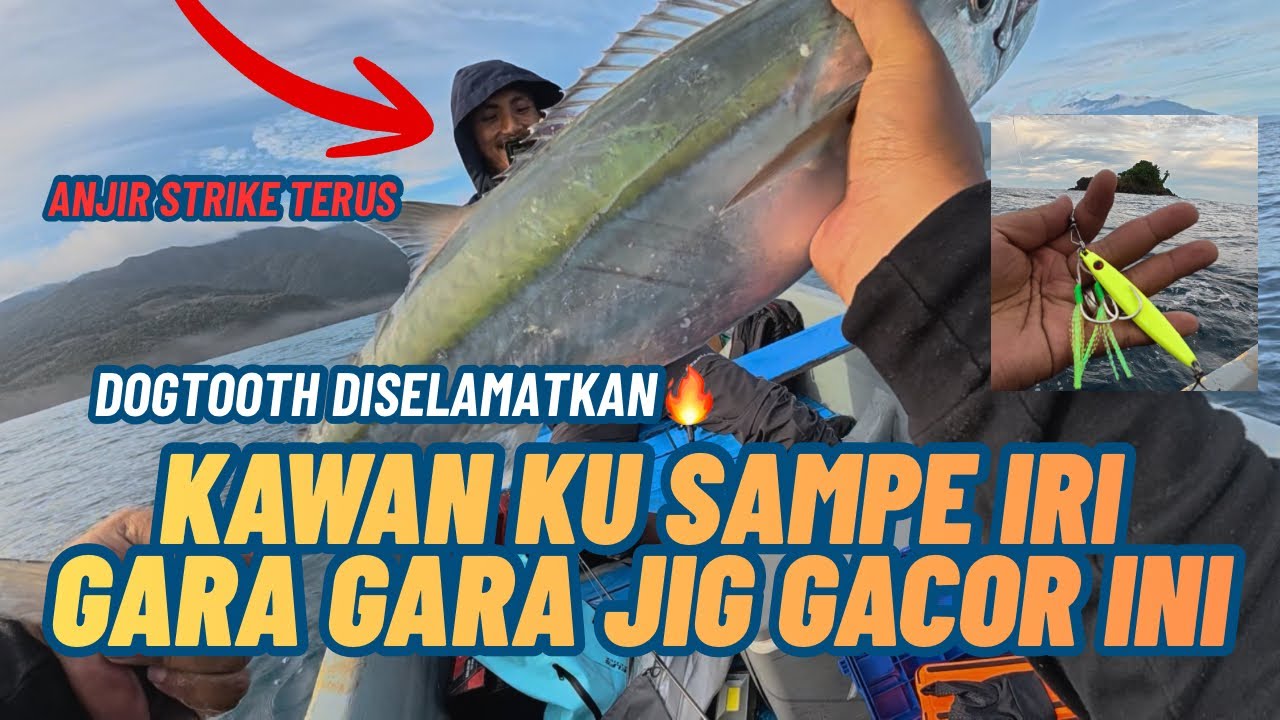 Serunya ‼️ Panen ikan Bubara dan baracuda dimalam hari dan Pagi hari Strike dogtooth Gacor banget