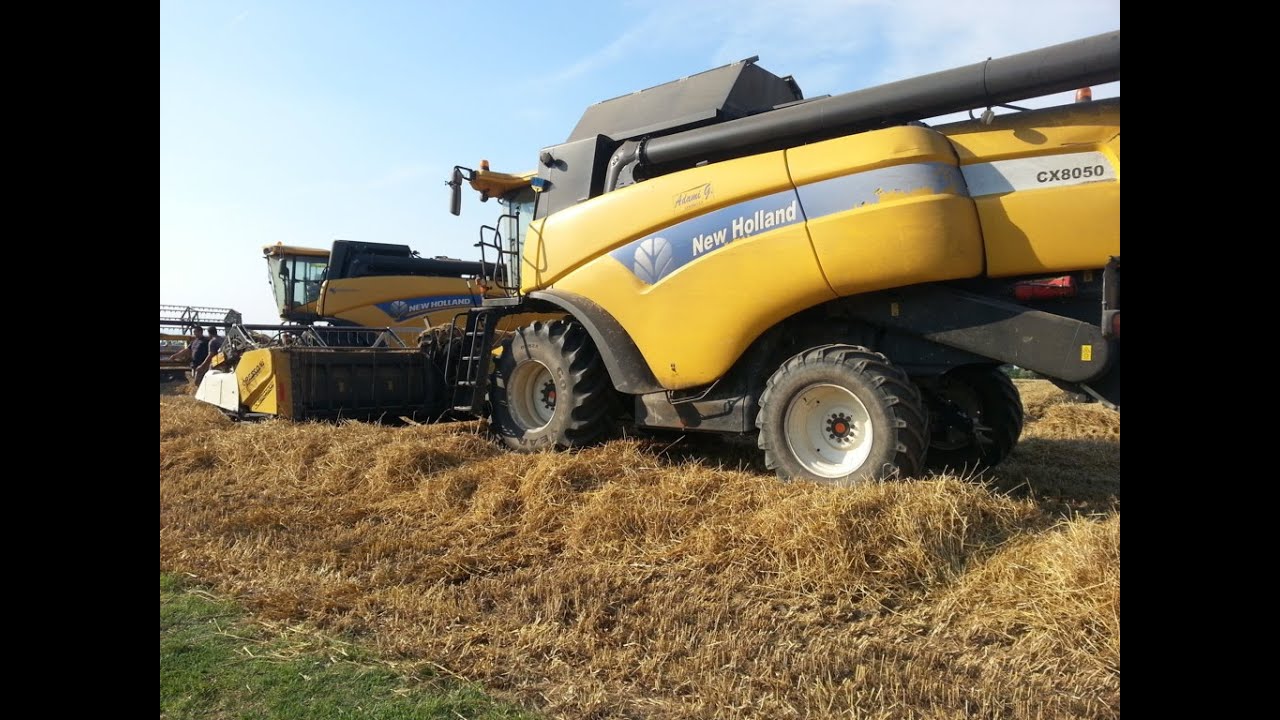 2x New Holland CX 8050 & 5090 Wheat Harvesting 2015