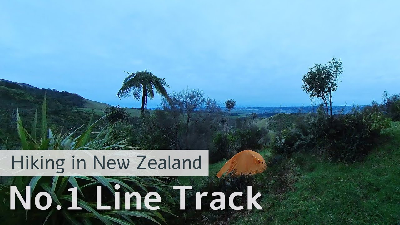 Silent hike on No.1 Line Track, Ruahine Forest Park, New Zealand