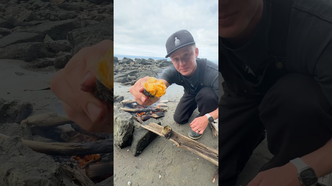 This barnacle taste better than crab