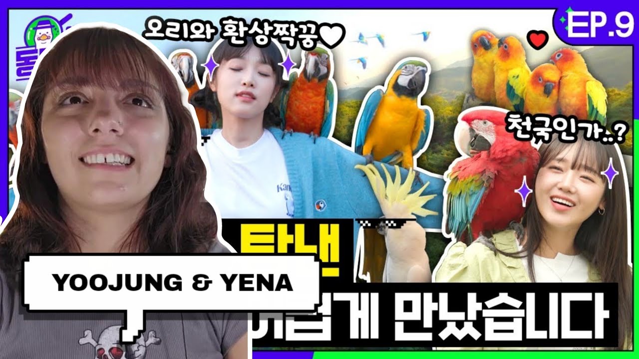 Which parrot was on Netflix? With YOOJUNGㅣAnimal Detective YENA EP.09 | IZ*ONE REACTION