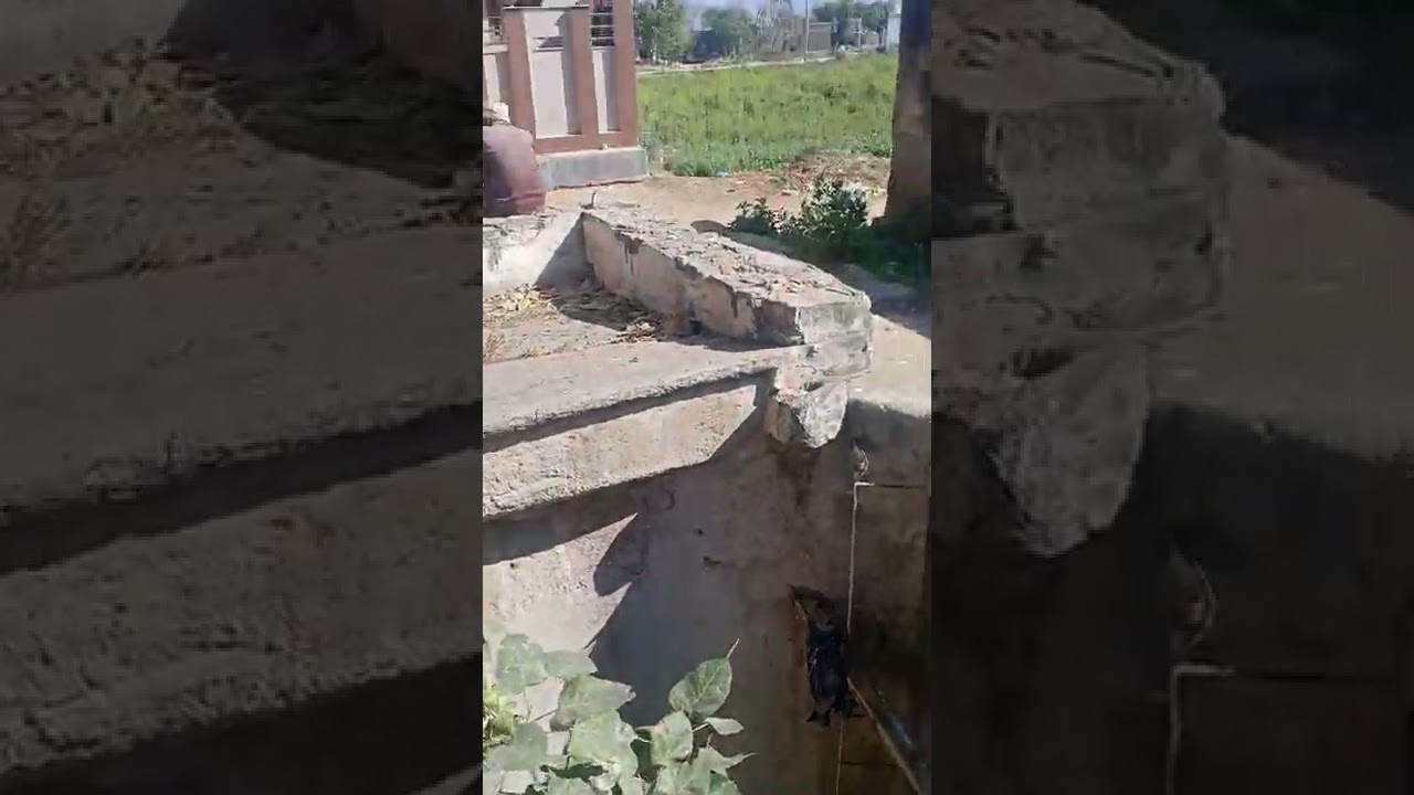 150 Saal Purana Kuan || Old Water Well || Horror Story Of This Well 😨 - Khairthal Rasgarh #viral