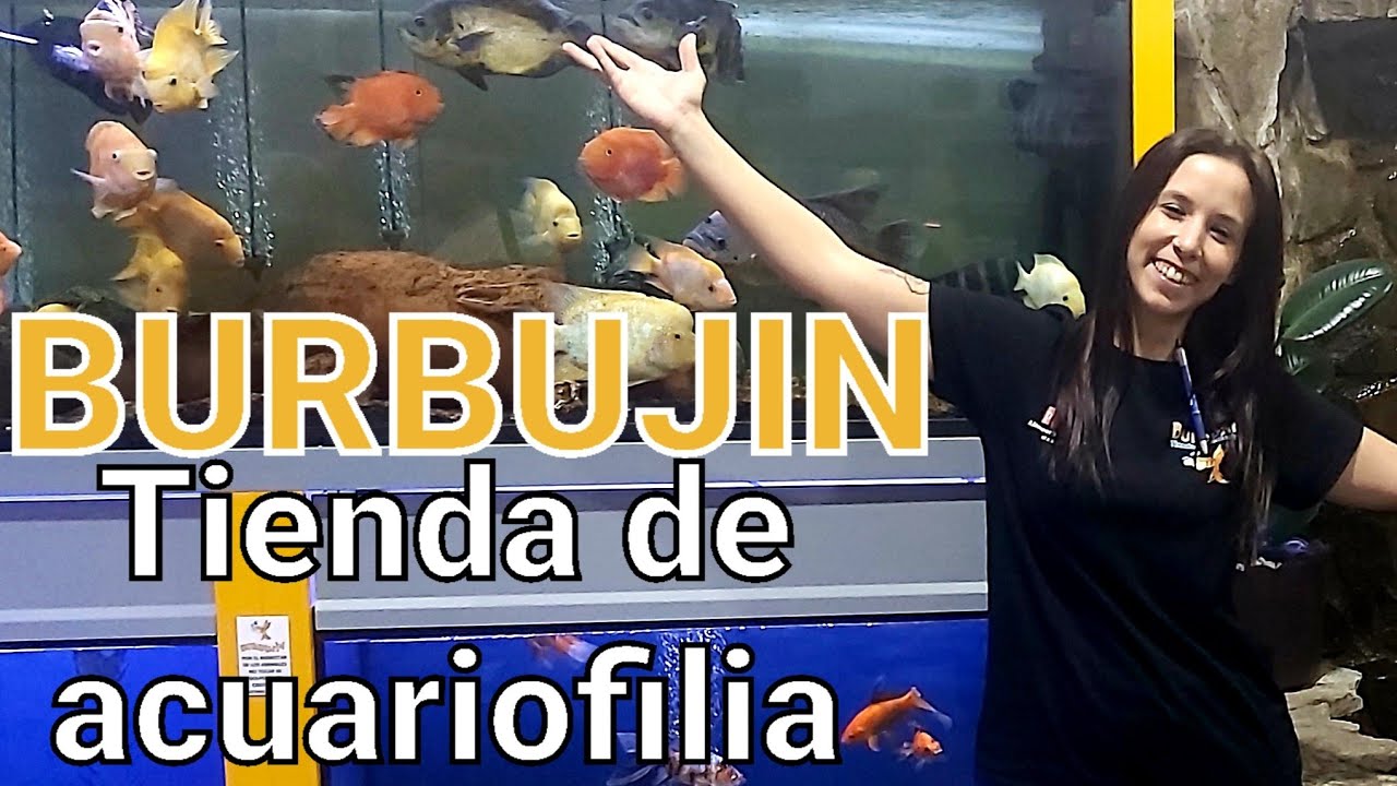 TIENDA ACUARIOFILIA | Burbujin ILLESCAS