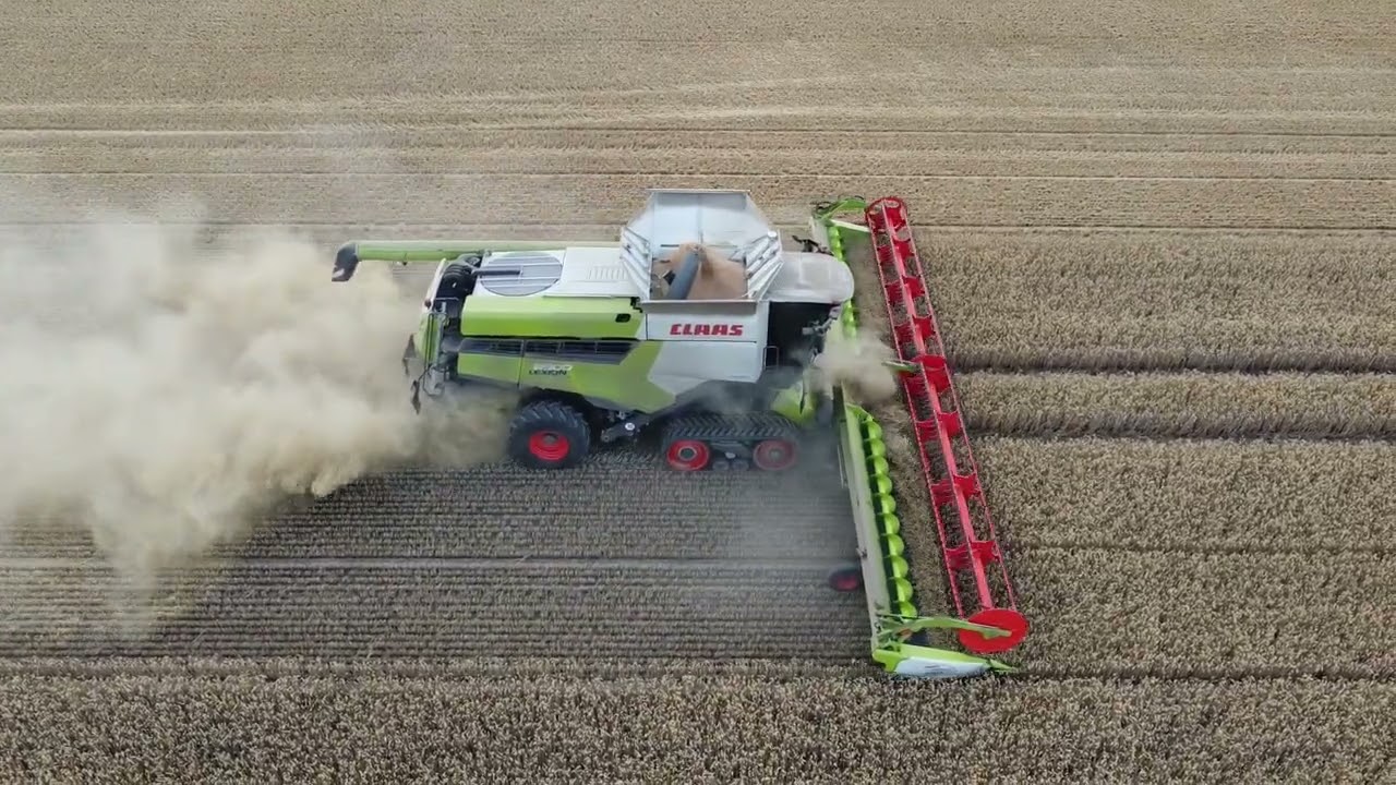 Ernte 2022 zwei Claas Lexion 8900 beim Weizen dreschen in Vorpommern