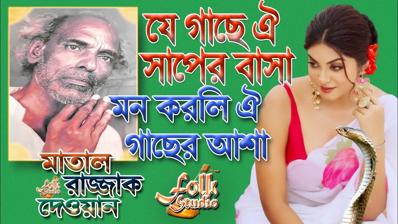 মাতাল রাজ্জাকের গান | যে গাছে ঐ সাপের বাসা মন করলি ঐ গাছের আশা | Matal Rajjak Dewan Song | Alauddin
