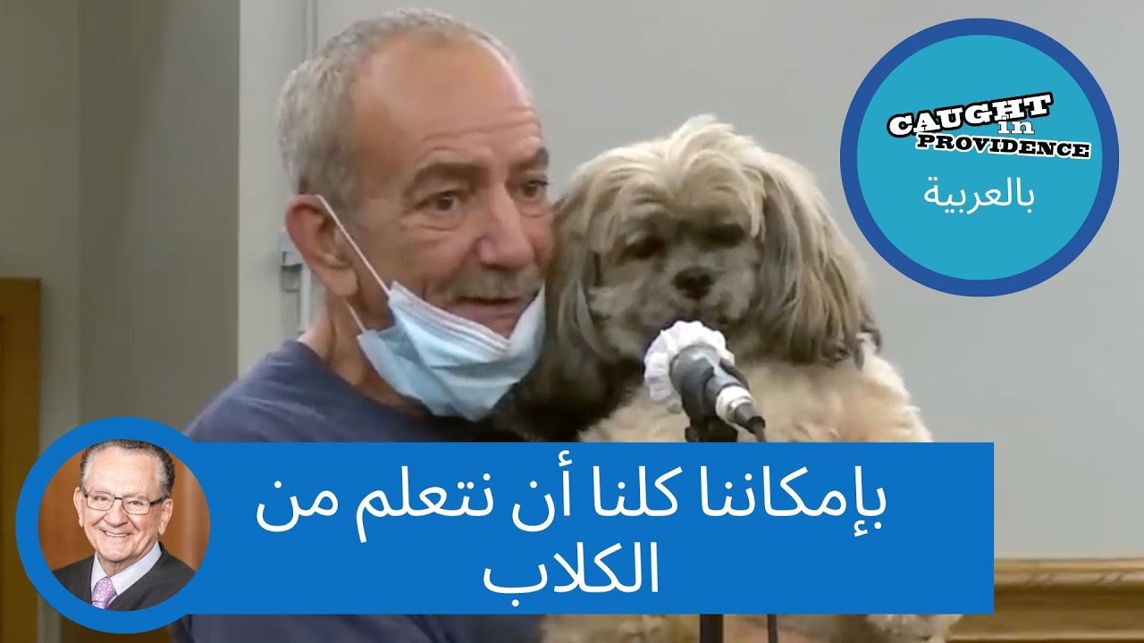 بإمكاننا كلنا أن نتعلم من الكلاب